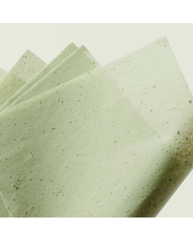 Green tea oil control paper: Ere Perez